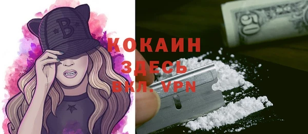 соль ск Горняк