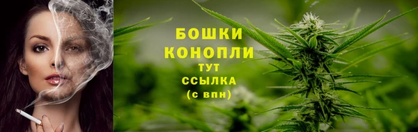 мяу мяу мука Горно-Алтайск