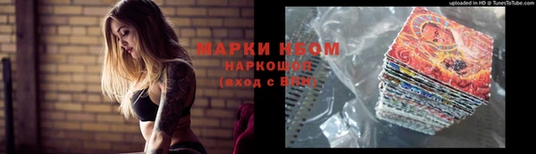 мяу мяу мука Горно-Алтайск