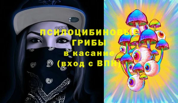 соль ск Горняк