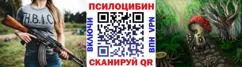 Галлюциногенные грибы Psilocybine cubensis  Абакан 
