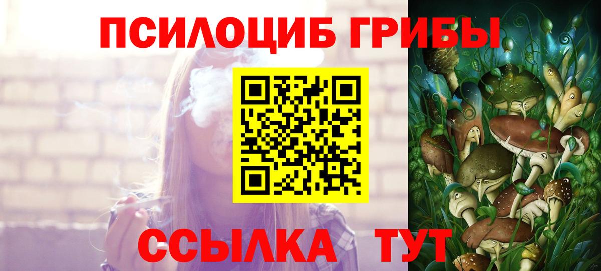 Псилоцибиновые грибы ЛСД Абакан