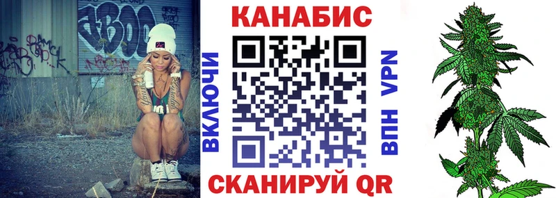 где можно купить   Абакан  Канабис планчик 