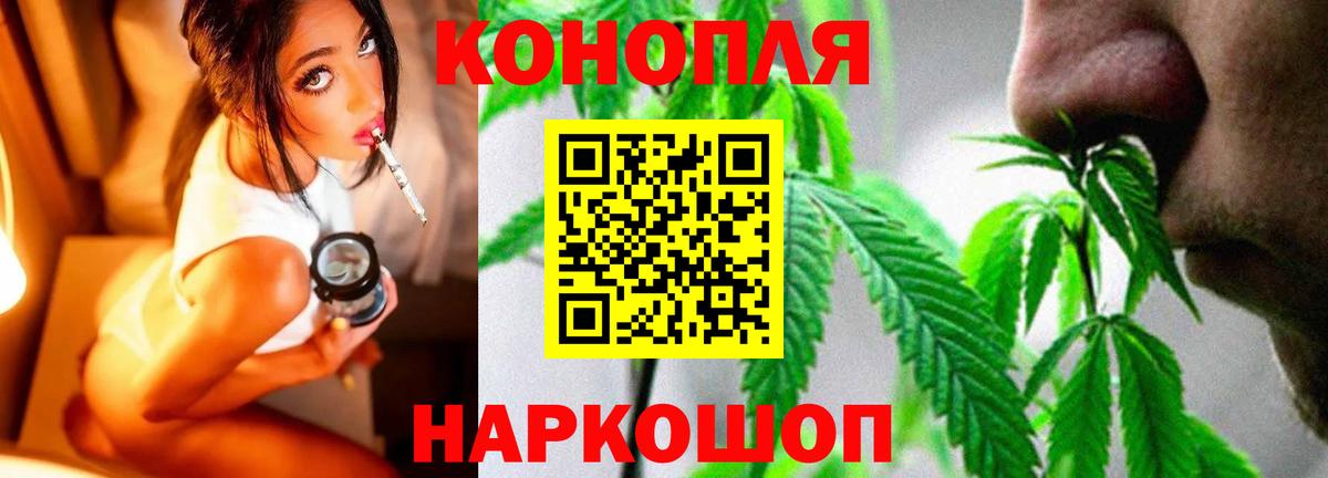 МАРИХУАНА ГИДРОПОН  Каннабис OG Kush  Абакан  Марихуана индика  Вход с VPN 